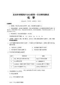 四川省宜宾市普通高中2026届高三上学期第一次诊断性测试（一模）化学试题含答案含答案解析