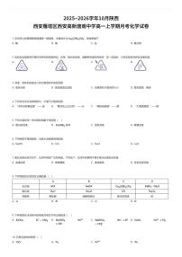 2025~2026学年10月陕西西安雁塔区西安高新唐南中学高一上学期月考化学试卷（有答案解析）