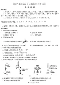 重庆市第八中学2026届高三上学期1月高考适应性月考卷五(一诊)化学试题(含答案)