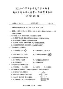 湖北省武汉市新洲区问津联盟2024-2025学年高一下学期6月期末化学试题（无答案）