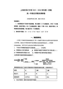 上海市育才中学2025-2026学年高一上学期期末考试 化学试题