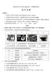 重庆市育才中学校高2026届高三（一诊）高考模拟考试化学试卷+答案