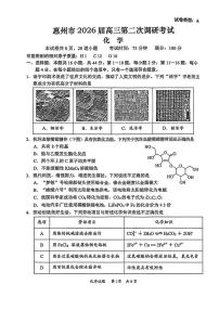 广东省惠州市2026届高三上学期第二次调研考试化学试卷（月考）