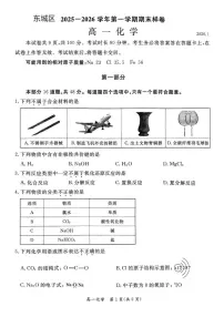 2025-2026学年北京市东城区高一上学期期末化学试题（无答案）