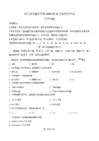 四川省广安市华蓥中学2025-2026学年高一上学期12月月考化学试卷（Word版附解析）