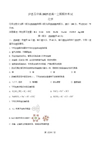 四川省泸州市泸县第五中学2025-2026学年高一上学期1月期末化学试卷（Word版附解析）