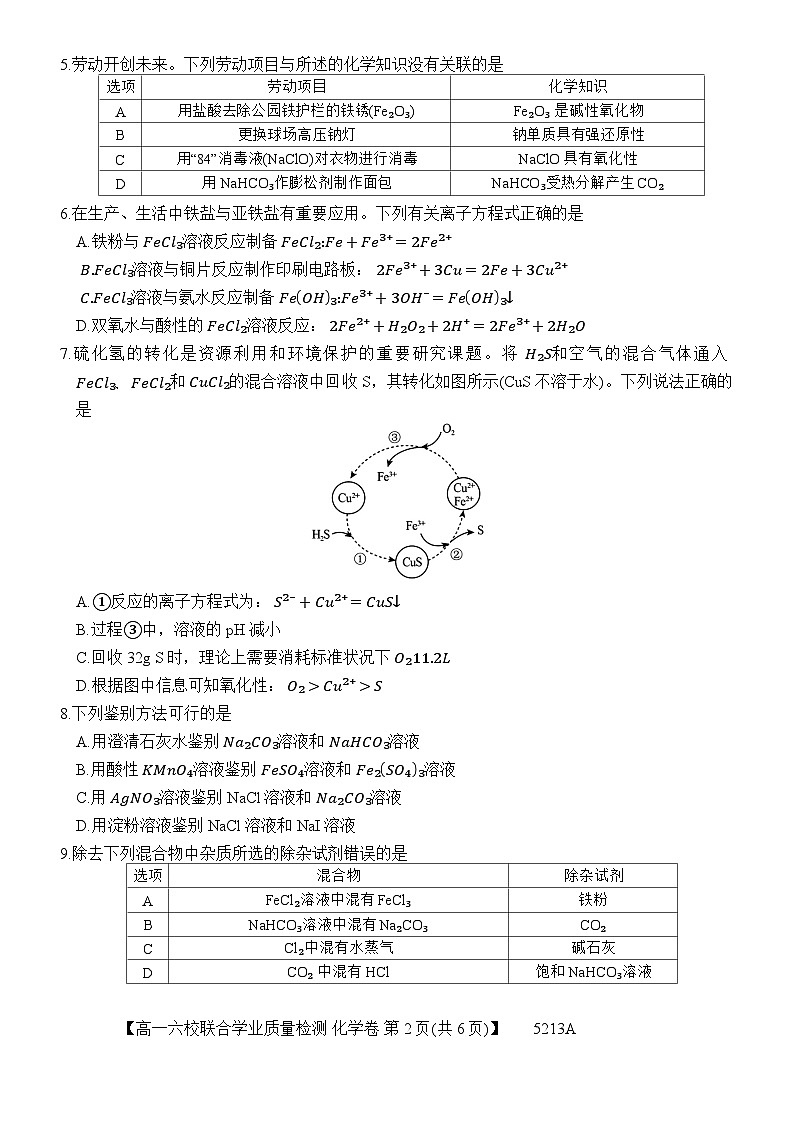 广东省六校(茂名一中,惠州一中,河源一中等)2024-2025学年高一上学期12月联合考试化学试题(无答案)第2页