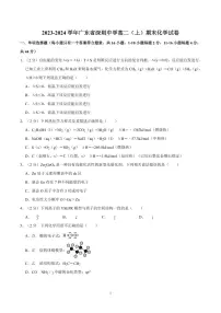 2023-2024学年深圳中学高二(上)期末化学试卷及答案