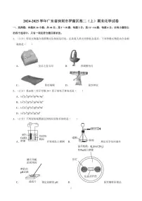 2024-2025学年深圳市罗湖区高二(上)期末化学试卷及答案