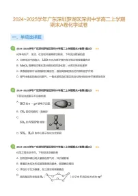 2024-2025学年深圳中学高二(上)期末化学试卷含答案