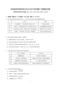 2024-2025学年深圳实验学校高一(上)期末化学试卷及答案