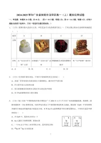 2024-2025学年深圳市龙华区高一(上)期末化学试卷及答案