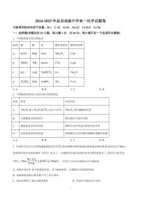 2024-2025学年深圳市盐田高级中学高一(上)期末化学试卷及答案