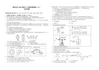 2026届湖北省襄阳四中高三年级上学期化学月考试题（含答案）