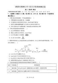 陕西省商洛市2026届高三上学期12月学情调研测试化学试题（PDF版附答案）