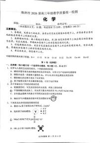 湖南株洲2026届高三上学期一模化学试题+答案
