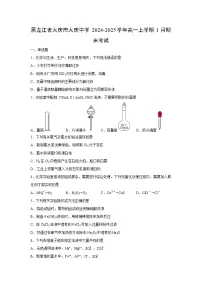2024-2025学年黑龙江省大庆市大庆中学高一上学期1月期末考试化学试卷(学生版)