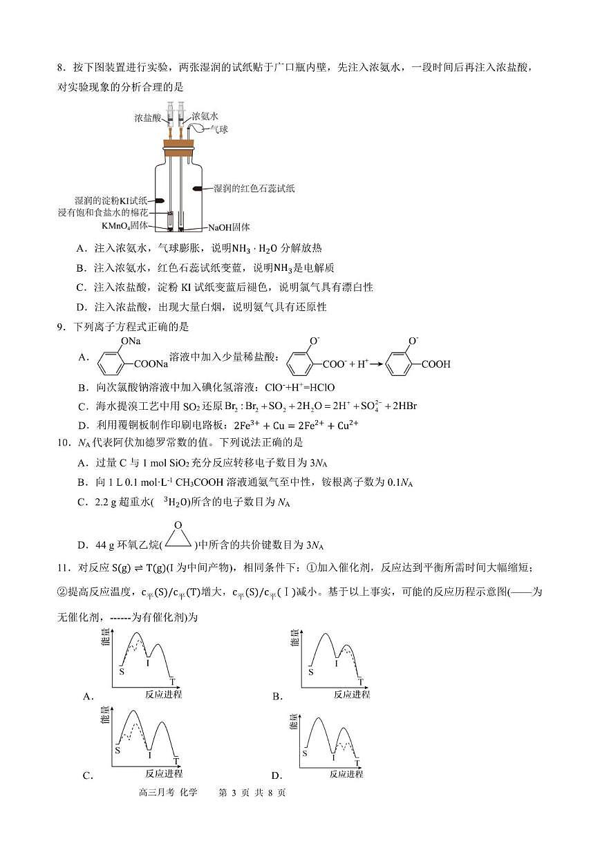 2026届广东省深圳市南方科技大学附属中学高三上学期第五次月考化学(含答案)试卷第3页