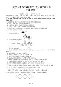 2025-2026学年湖北省武汉市第六中学高三上学期12月月考化学试卷（有答案）