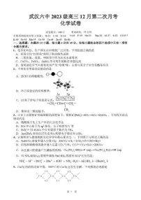 2025-2026学年湖北省武汉市第六中学高三上学期12月月考化学试卷(有答案)