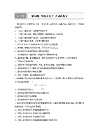 2026高三化学（人教版）一轮复习试题　第十四章　第66练　生物大分子　合成高分子（含答案）