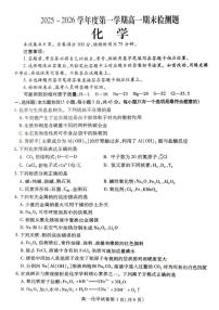 2025-2026学年四川省内江市高一上学期期末检测化学试卷（含答案）