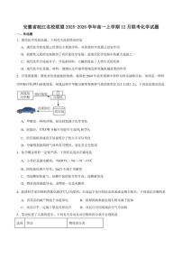 安徽省皖江名校联盟2025-2026学年高一上学期12月联考化学试卷（含答案）