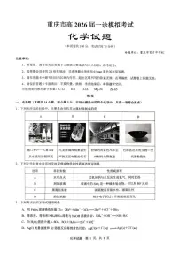 重庆市育才中学校高2026届高三年级上学期一诊模拟考试化学试卷（无答案）