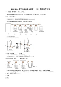 2025-2026学年上海市金山区高一（上）期末化学试卷-自定义类型