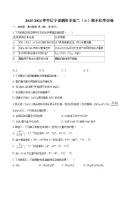 2025-2026学年辽宁省朝阳市高二（上）期末化学试卷-自定义类型