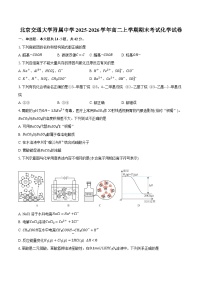 北京交通大学附属中学2025-2026学年高二上学期期末考试化学试卷（含答案+解析）
