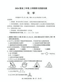 湖北武汉武昌区2026届高三上学期1月调考化学试卷+答案