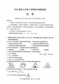 2026届武昌高三上学期1月期末化学试题及答案