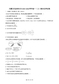 内蒙古巴彦淖尔市2025-2026学年高一（上）期末化学试卷