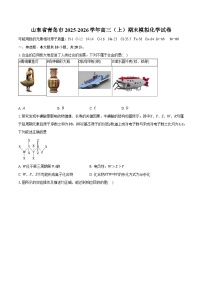 山东省青岛市2025-2026学年高三（上）期末模拟化学试卷
