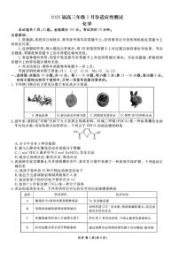 2026届河北省衡水高三上1月份适应性测试化学试卷（含答案）