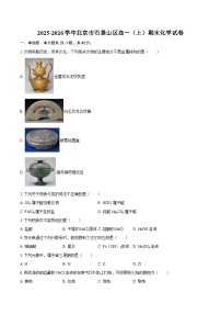 2025-2026学年北京市石景山区高一（上）期末化学试卷-自定义类型