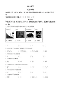 北京市顺义区2025-2026学年高一上学期期末化学试卷(有解析)