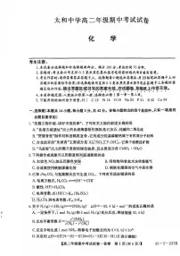 安徽省阜阳市太和中学2024-2025学年高二上学期11月期中化学试题(含答案)