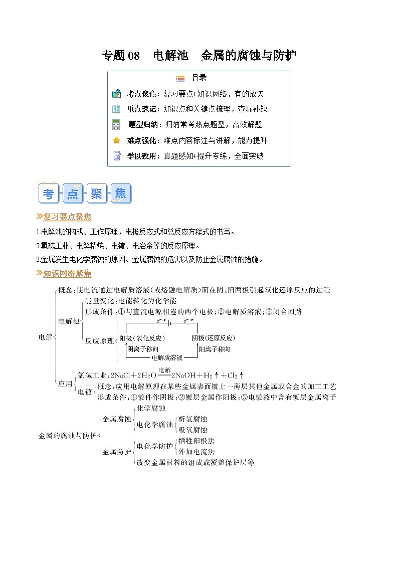 专题08 电解池 金属的腐蚀与防护(原卷版)第1页
