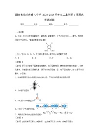 【化学】湖南省长沙市雅礼中学2024-2025学年高二上学期1月期末考试试题（学生版+解析版）