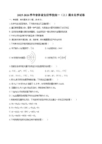 2025-2026学年吉林省友好学校高一（上）期末化学试卷-自定义类型
