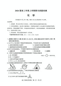 2026届湖北武汉武昌区高三上学期元月调考化学试卷（含答案）