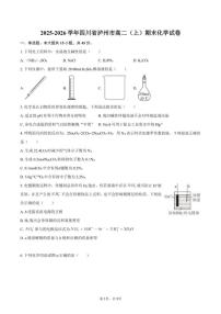 2025-2026学年四川省泸州市高二（上）期末化学试卷（含答案）