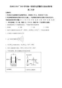 江苏省苏州市2024-2025学年高二上学期1月期末考试化学试题（原卷+解析）