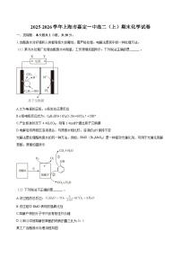 2025-2026学年上海市嘉定一中高二（上）期末化学试卷-自定义类型