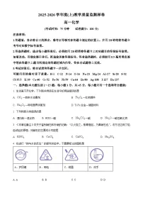 四川省攀枝花市2025-2026学年度(上)教学质量监测样卷高一化学试卷(原卷+解析)
