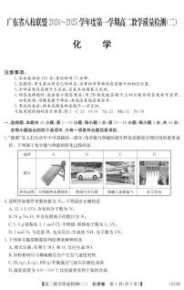 广东省八校联盟2024-2025学年高二上学期教学质量检测（二）化学试题（含答案）