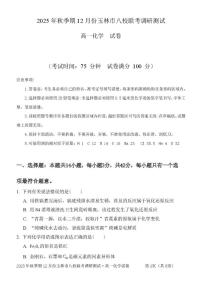 广西玉林市八校2025-2026学年高一上学期12月联合调研测试化学试卷（含解析）