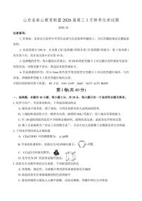 山东省泰山教育联盟2026届高三上1月联考化学试题（含答案）